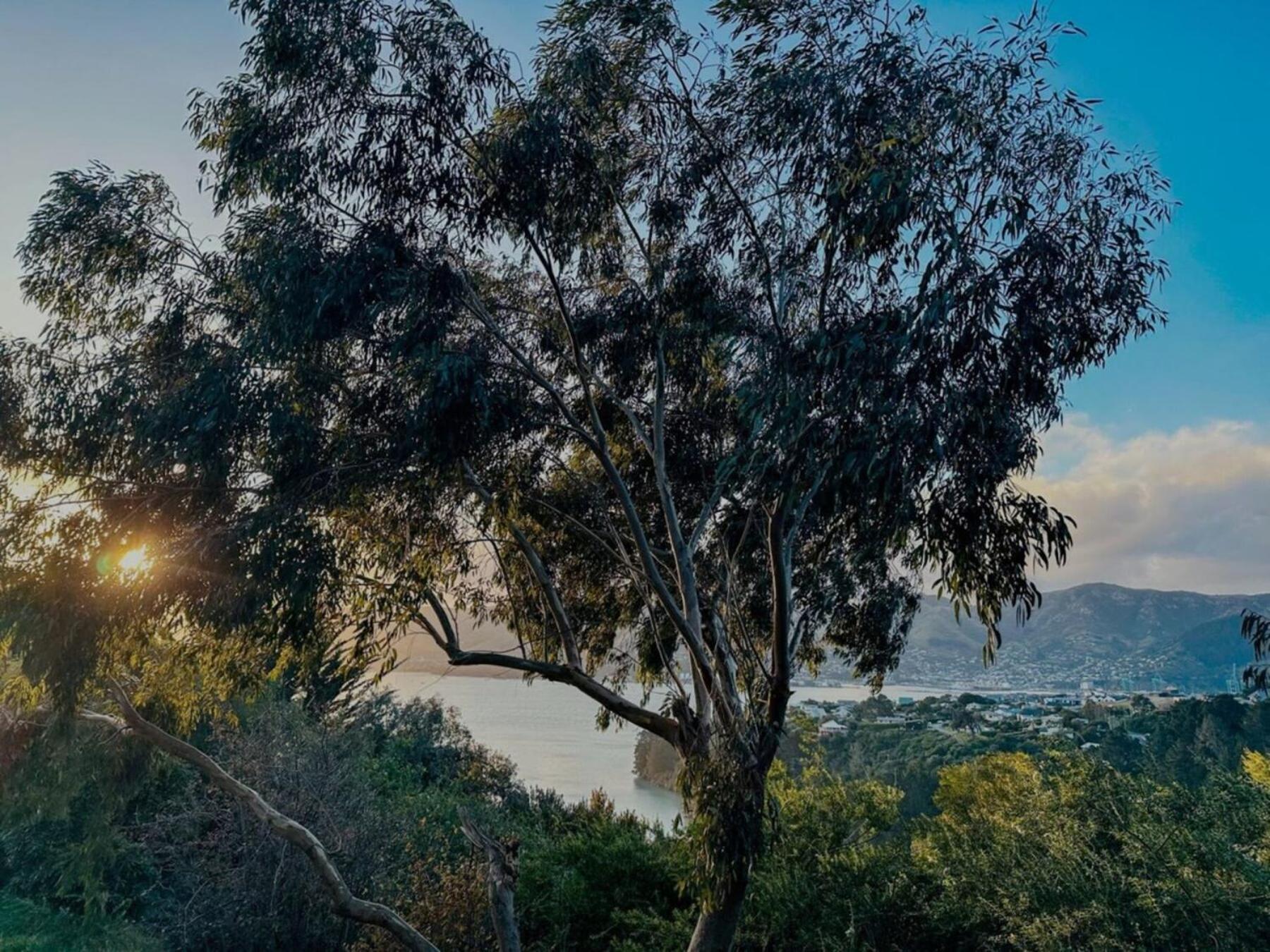 Villa The Outlook By Tiny Away à Diamond Harbour Extérieur photo